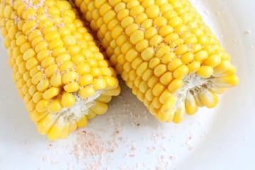 Freshly Cooked Sweet Corn on White Plate