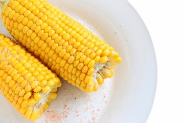 Freshly Cooked Sweet Corn on White Plate