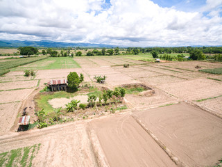 Fototapeta na wymiar Harvest field aerial