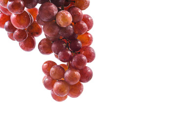 Seedless grapes isolated