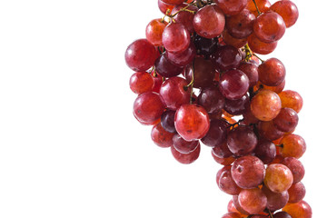 Seedless grapes isolated