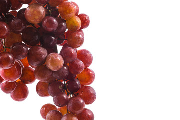 Seedless grapes isolated