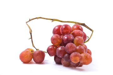 Seedless grapes isolated