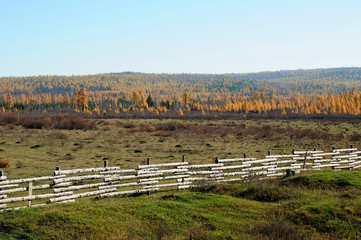 Fototapeta na wymiar melancholic autumn landscape. field with mowed grass. used toning of the photo