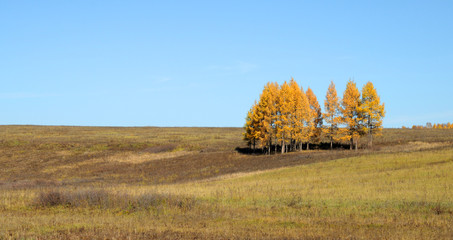 melancholic autumn landscape. field with mowed grass. used toning of the photo