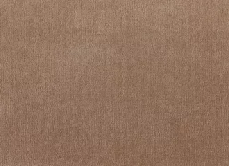 Selbstklebende Fototapete Staub Shining light brown velvet fabric texture  
