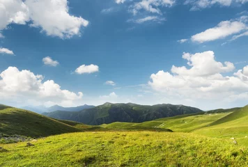 Poster Pasture in mountain valley. Agriculture landscape in the summer time © biletskiyevgeniy.com