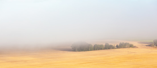 Field in fog