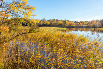 Fototapeta premium Autumn colors at the lake