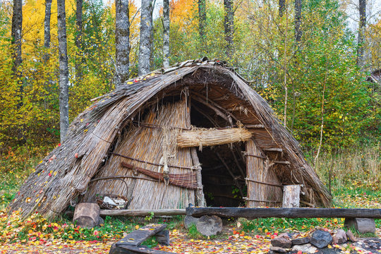 Stone Age hut of reeds in the forest