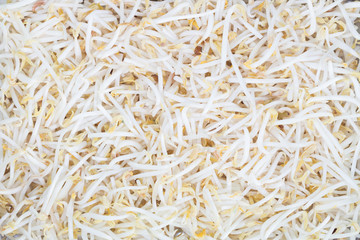 Bean Sprouts