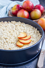 Homemade plum shortbread pie with streusel in baking dish vertical