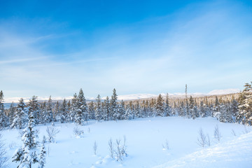 Snow scene