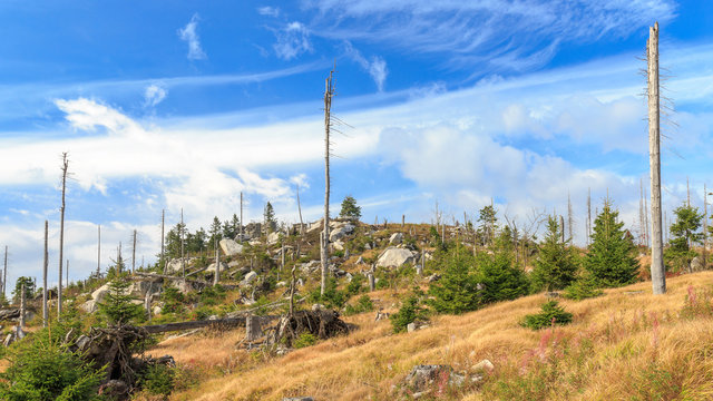 Dreisesselfelsen im Bayerischen Wald zwischen Deutschland, Tschechien und &Ouml;sterreich