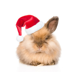 Cute rabbit in red christmas hat. isolated on white background