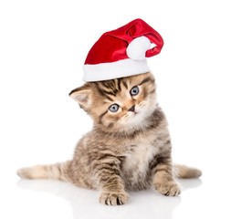 baby  tabby kitten in red christmas hat. isolated on white 
