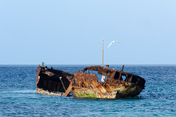 Naklejka premium Wreck Heron Island Australia