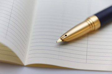 Personal organizer with a pen