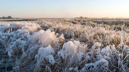 Chłodny poranek nad Narwią © podlaski49