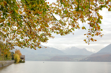 スイス　秋のトゥーン湖