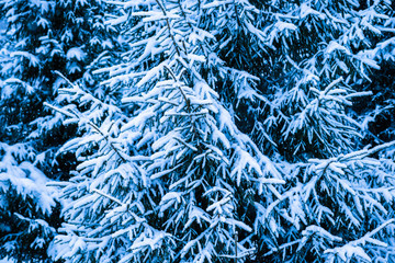 Winter Snow Christmas Tree 2
