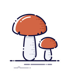 Mushroom
