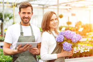 Team of florist working together at the plants nursery