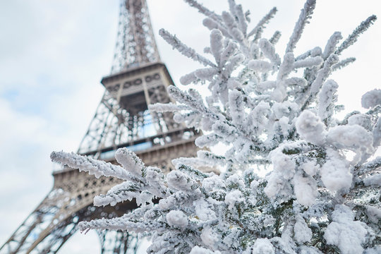 Christmas tree covered with snow near the Eiffel tower