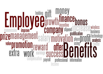 Employee benefits, word cloud concept 6