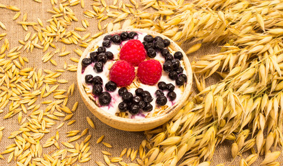 oat grain and oatmeal with fresh fruits