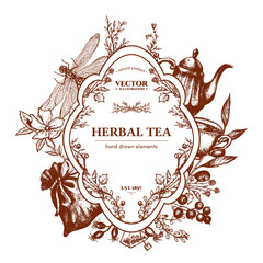 Herbal tea herbs and flowers botanical vintage herbs tea