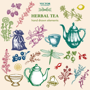 Herbal tea collection vintage