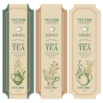 Labels Herbal tea design ink hand drawn vector