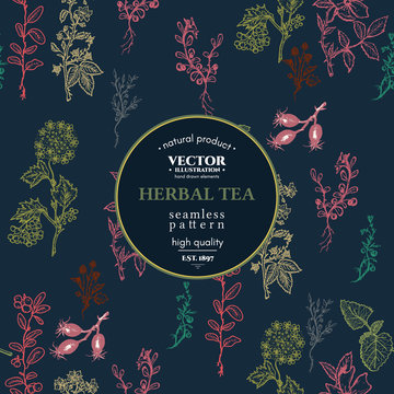 Herbal seamless pattern vintage herbs and spice sketch