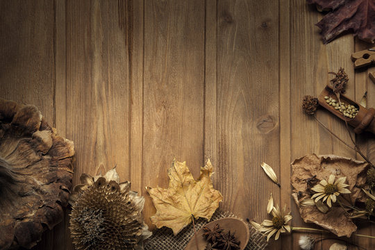 autumn background with fruits and spices with dried flowers plac