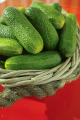 Fresh small cucumbers in wicker basket on red background. 