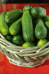 Fresh small cucumbers in wicker basket on red background. 