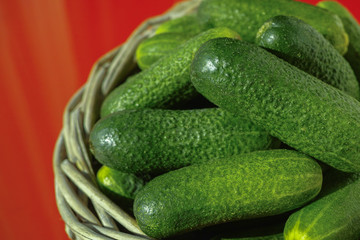 Fresh small cucumbers in wicker basket on red background. Green cucumbers.