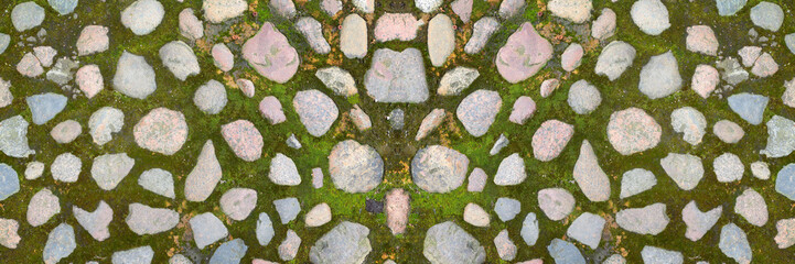 Old moss covered pavement. Wide panoramic image.