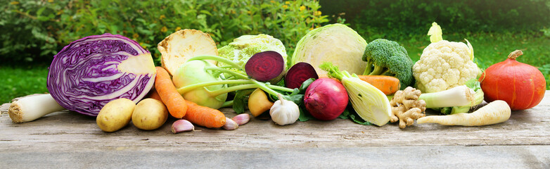 Vegetables, Gemüse, Wintergemüse, Lagergemüse, Banner, Panorama, Header, Headline, Textraum,...