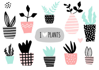 House Plants Collection