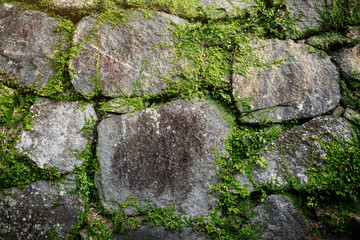 Rock layer tiles with green grass, part of building,architecture or castle