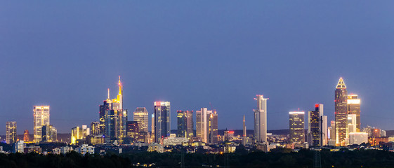 Fototapeta premium view of Frankfurt skyline with fields by night