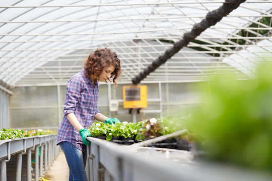 Happy Female Nursery Worker Trimming Plants In Greenhouse