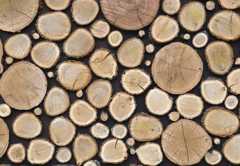 Cross section of tree trunks for background.Tree stumps texture.Wood slices with rings background.