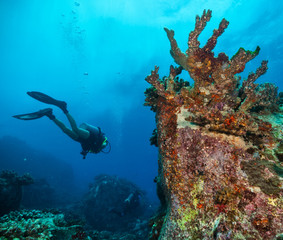 Naklejka na ściany i meble Young woman scuba diver exploring sea bottom