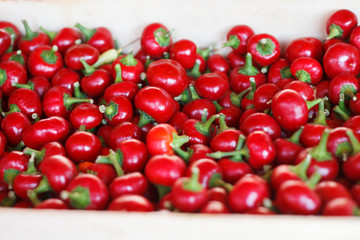 Red hot chilli peppers on the market. A lot of chillies.