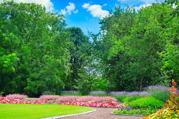 summer park with beautiful flowerbeds