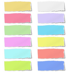 Colour oblong paper tears isolated on white background
