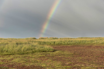 Vorland auf der Nordseeinsel F&ouml;hr